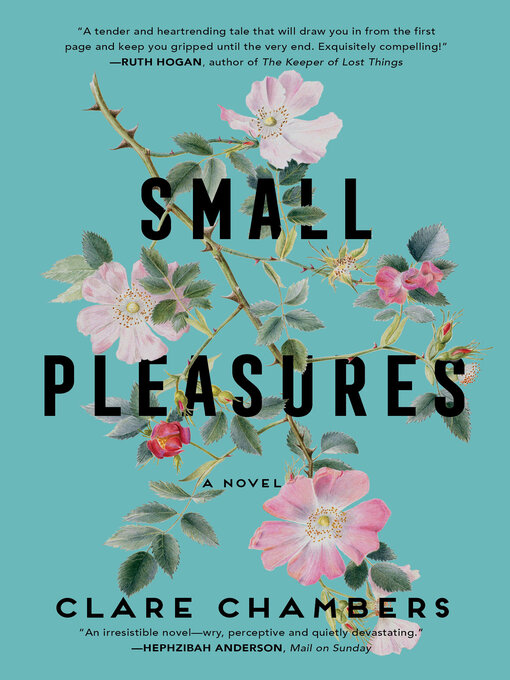 Title details for Small Pleasures by Clare Chambers - Wait list